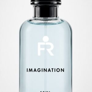 Imagination